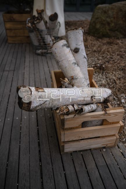 장작,자작나무,나무,땔감,wood,목재,캠프파이어