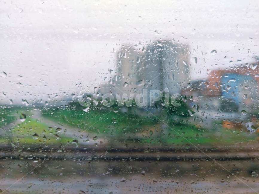 비,비오는날,빗방울,빗물,흐린날,자연,비,비오는날,rain,rainy