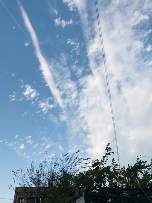 자연,하늘,겨울,겨울하늘,푸른색,자연,풍경,nature,landscape