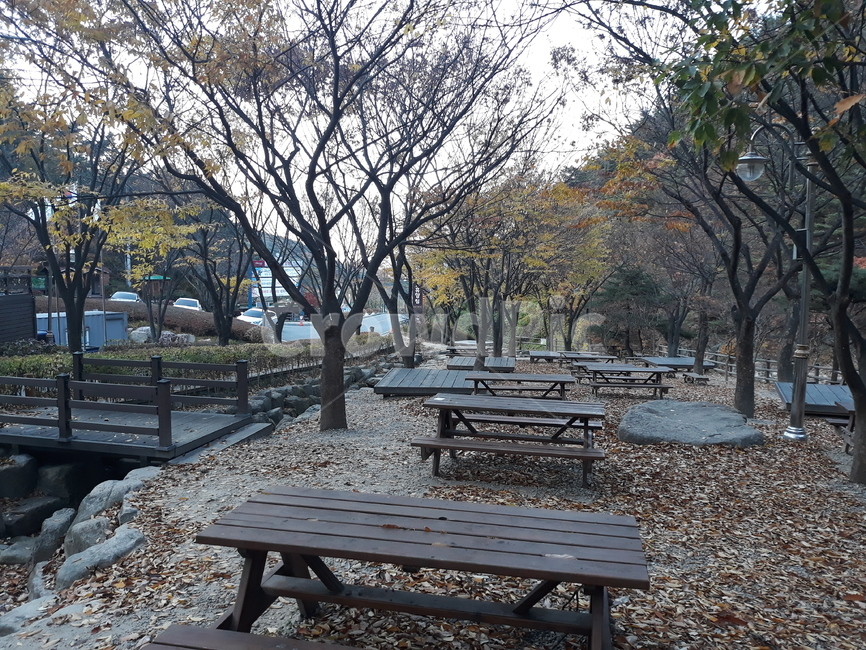 가을,벤치,잎,도로,자연,가을,계절,fall,autumn,season,자연,풍경,nature,landscape,bench,tree,나무,plant,식물,furniture,가구