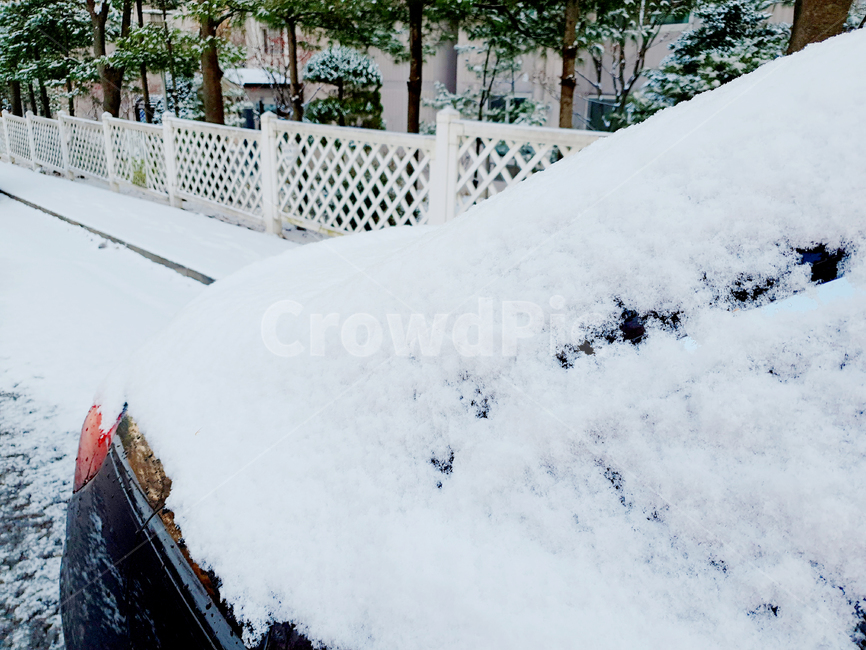 눈,겨울,자동차,winter,snow,계절,차,season,눈송이,눈꽃