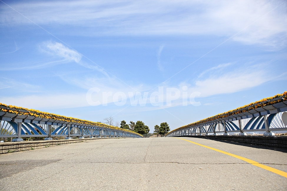 다리,꽃,풍경,자연,배경,자연,풍경,nature,landscape,road,도로