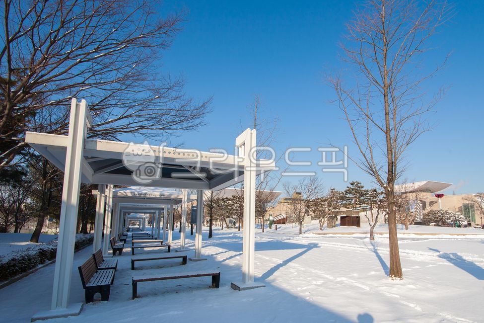 대전,한밭수목원,둔산대공원,풍경,1월,산책로,자연,경치,겨울풍경,눈,설경,나무,도심공원,nature,snow,winter,park,landscape,벤치