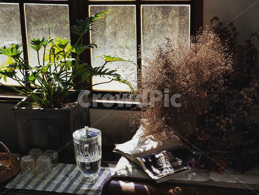 카페,식물,여유,감성,힐링,cafe,plants,rest,mood,healing,꽃,분위기,자연,빛,물,빈티지,light,water,vintage,인테리어,실내디자인,interior design