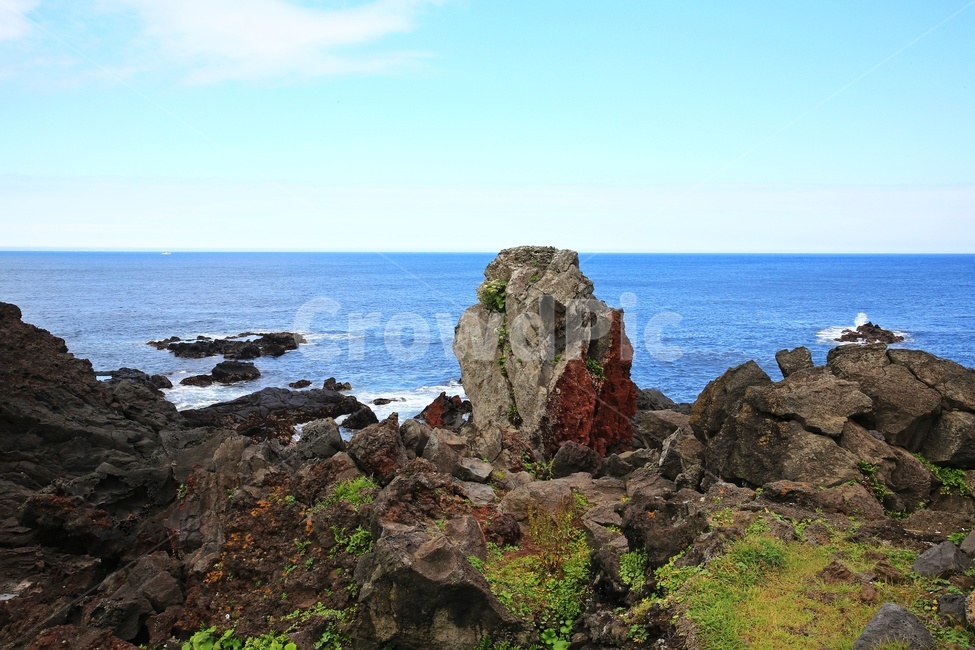 promontory,곶,nature,자연,outdoors,옥외,grass,잔디,plant,식물,ocean,대양,sea,바다,water,물,shoreline,해안선,제주,섭지코지,해변,자연,풍경,nature,landscape