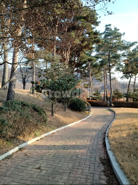 나무,자연,산책로,길,식물,tree,plant,통로,인도