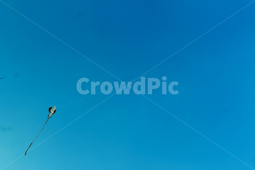 연,연날리기,kite,flingkite,kitefling,sky,하늘,파란하늘,bluesky