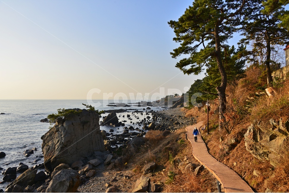 outdoors,옥외,nature,자연,water,물,ocean,대양,sea,바다,shoreline,해안선,coast,연안,해변,경주,양남,읍천,읍천주상절리,주상절리,자연,풍경,nature,landscape