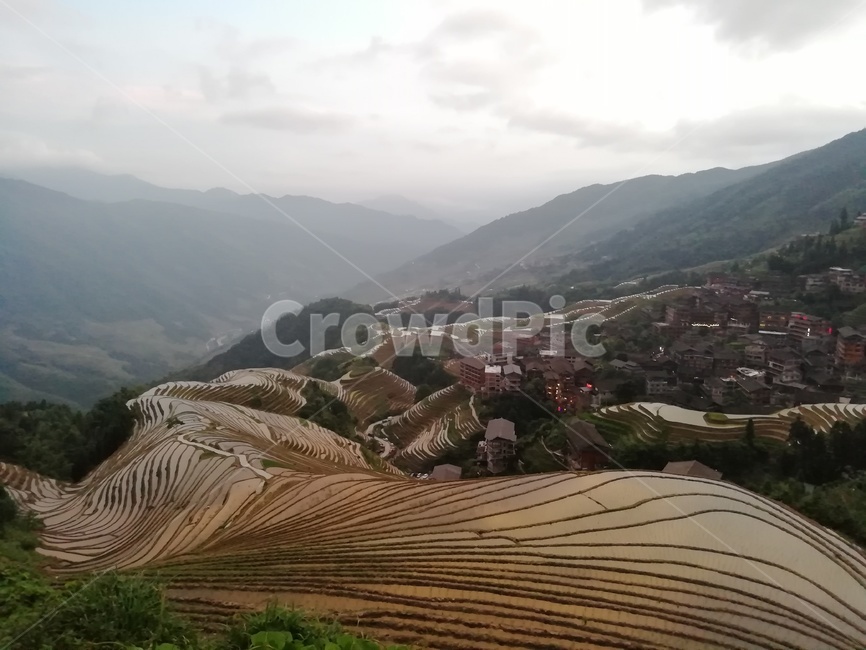 다락논,다랭이논,계림,용적제전,구룡오호,자연,풍경,nature,landscape,농업,농사,agriculture,farming,farming industry,scenery,outdoors,옥외,경치