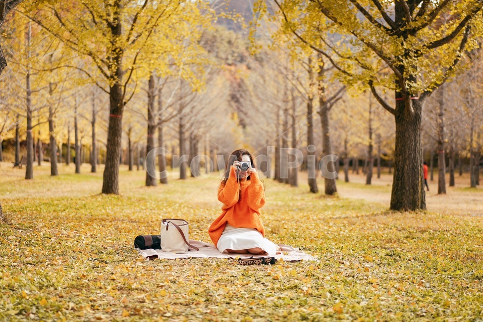가을,은행나무,홍천은행나무숲,계절,fall,가을,계절,fall,autumn,season,사람,인물,인간,human,person,여성,여자,woman,female,lady,사진작가,포토그래퍼,photographer,감성,sensible,feeling