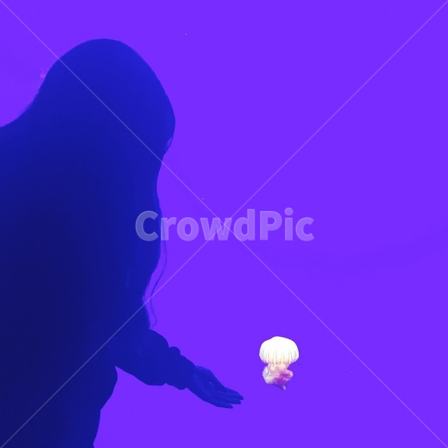 수족관,해파리,보라색,인물,그림자,여자,aquarium,jellyfish,purple,person,shadow,woman,실루엣,그림자,silhouette,shadow,인물실루엣,사람실루엣,character silhouette,human silhouette