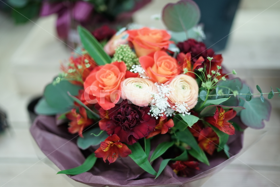 라넌큘러스,장미,꽃다발,분홍,선물,식물,자연,plants,nature,꽃,flower,기념일,축하,anniversary,congratulation,celebrate,celebration
