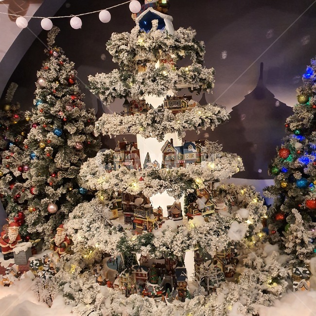 tree,나무,크리스마스트리,christmastree,장식,식물,겨울,계절,winter,season,메리크리스마스,성탄절,merry christmas