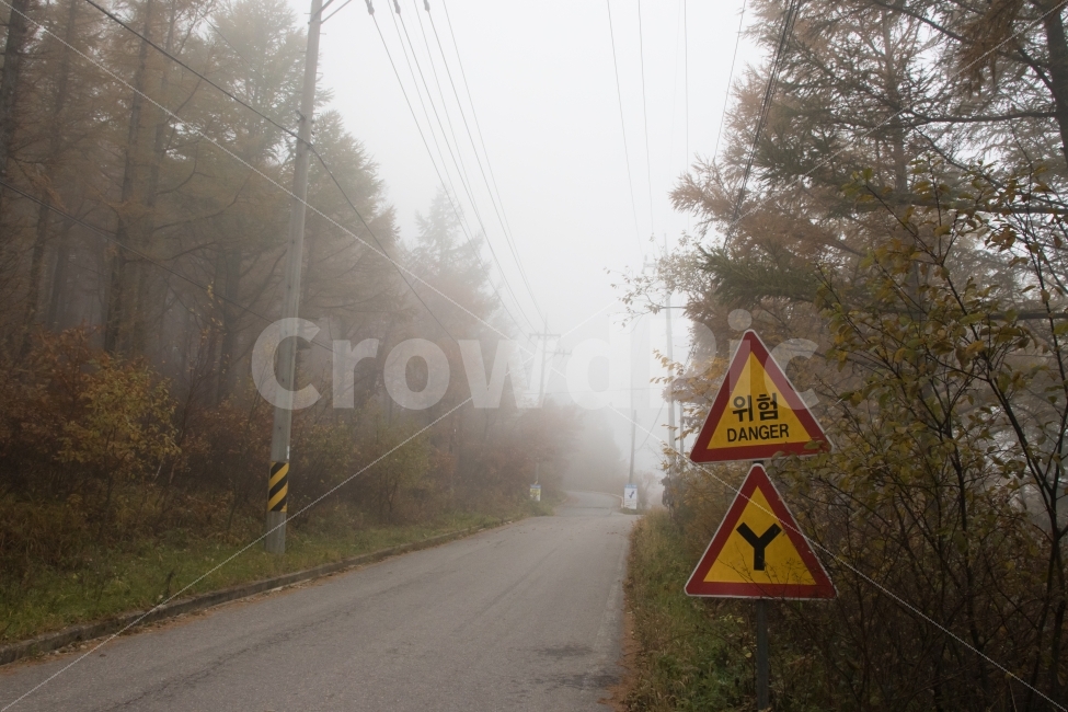 표지판,길,안개,전신주,도로,가을,계절,fall,autumn,season,자연,풍경,nature,landscape,교통,교통수단,traffic,transportation