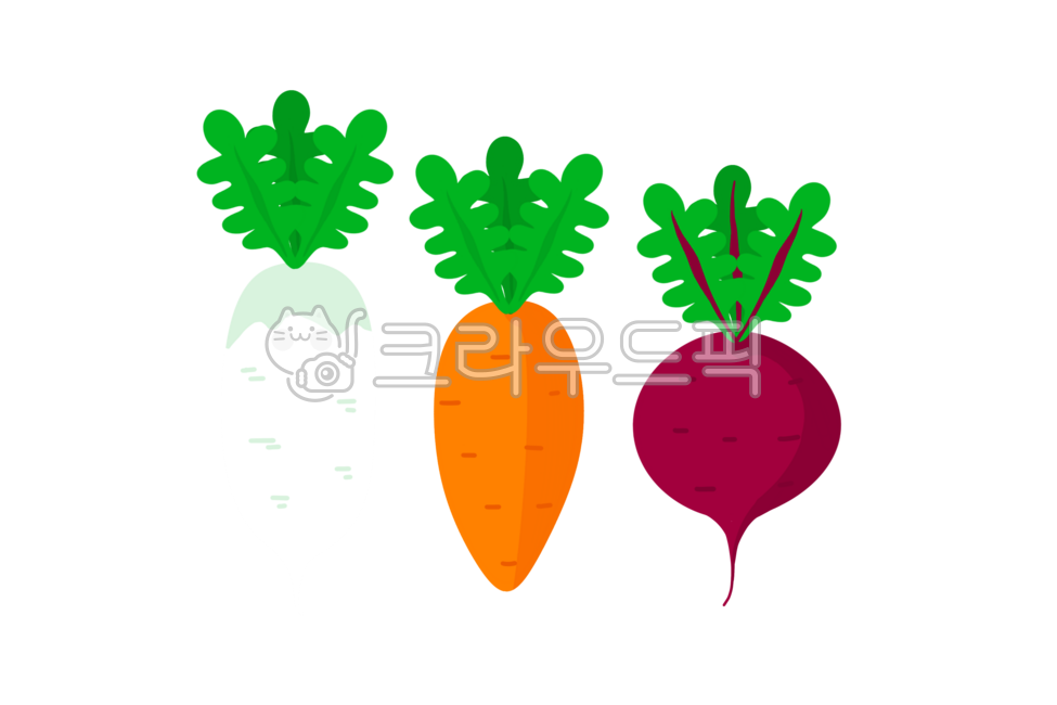 무,무우,당근,래디쉬,빨간무,비트,레디쉬,일러스트,그림,농작물,식물,채소,야채,illustration,illust,beetroot,radish,carrot,뿌리,유기농,유기농채소,채소png