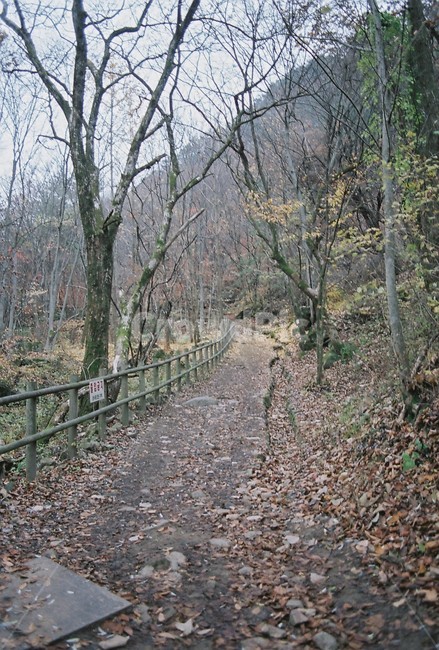 월악산,자연풍경,등산로,계절,늦가을,worakmountain,naturalscenery,climbingroute,season,latefall,자연,풍경,nature,landscape,dirt road,흙길,road,도로,gravel,자갈,ground,바닥