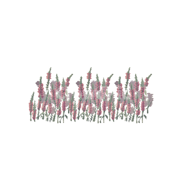 라벤더,꽃,flower,lavender,일러스트,꽃일러스트,그림,이쁜꽃,illustration,그래픽,일러스트레이션,graphic,illustration