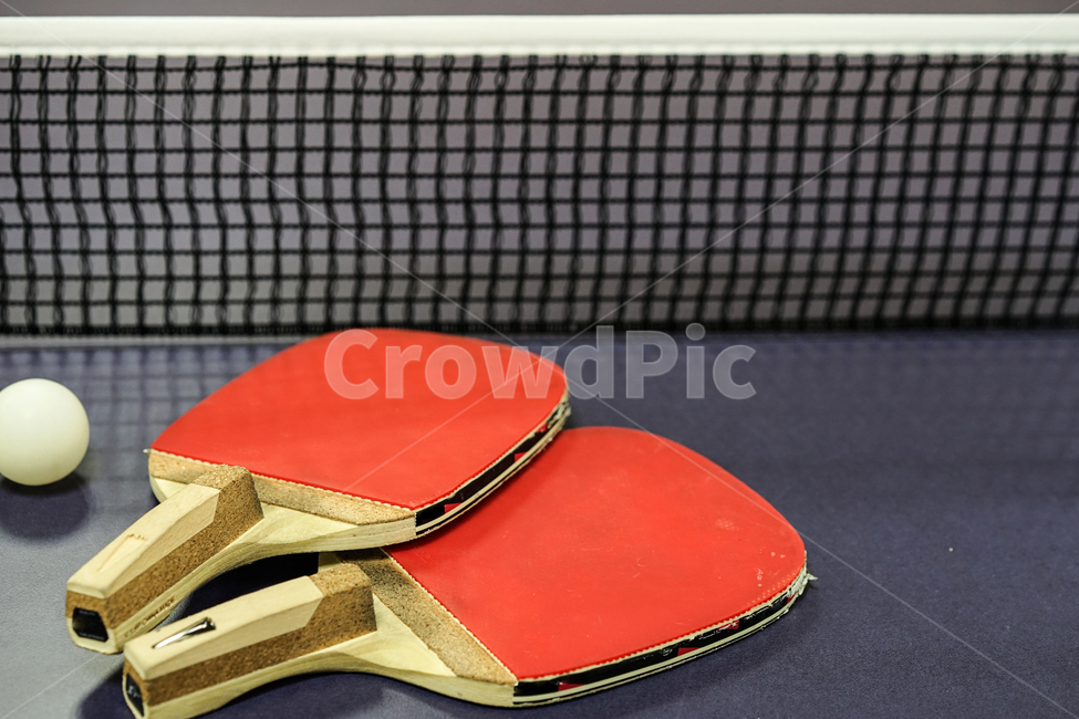 탁구,탁구대,스포츠,탁구라켓,탁구공,tabletennis,스포츠,레저,운동,sports,leisure,exercise