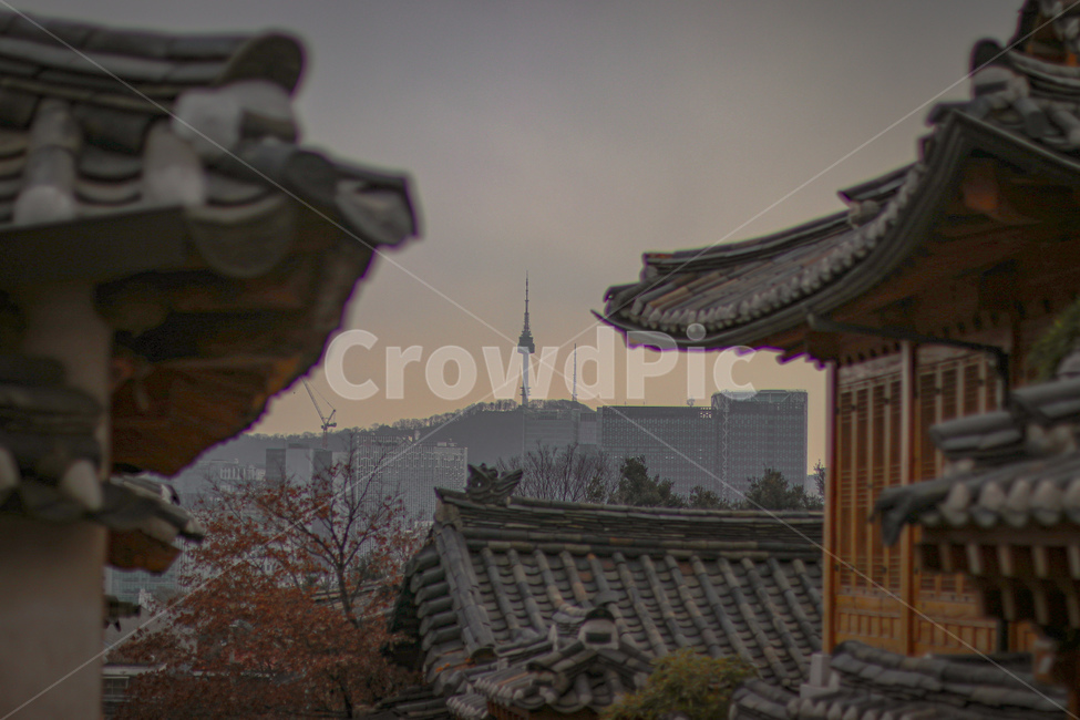 한옥마을,남산,남산타워,랜드마크,북촌한옥마을,서울,조화,한옥,건물,서울풍경,peaceful,평화로운,편안한,휴식처,힐링,안락한,따뜻한,warm,분위기,한국도시경관,도시풍경,한국,맑은,깨끗한,청명한,한국도시풍경,풍경,color,색감,색채,계절,season,색깔,색상,한국전통,한국문화,korean traditional,korean culture,건축물,건물외관,exterior,building,structure,architecture,construction