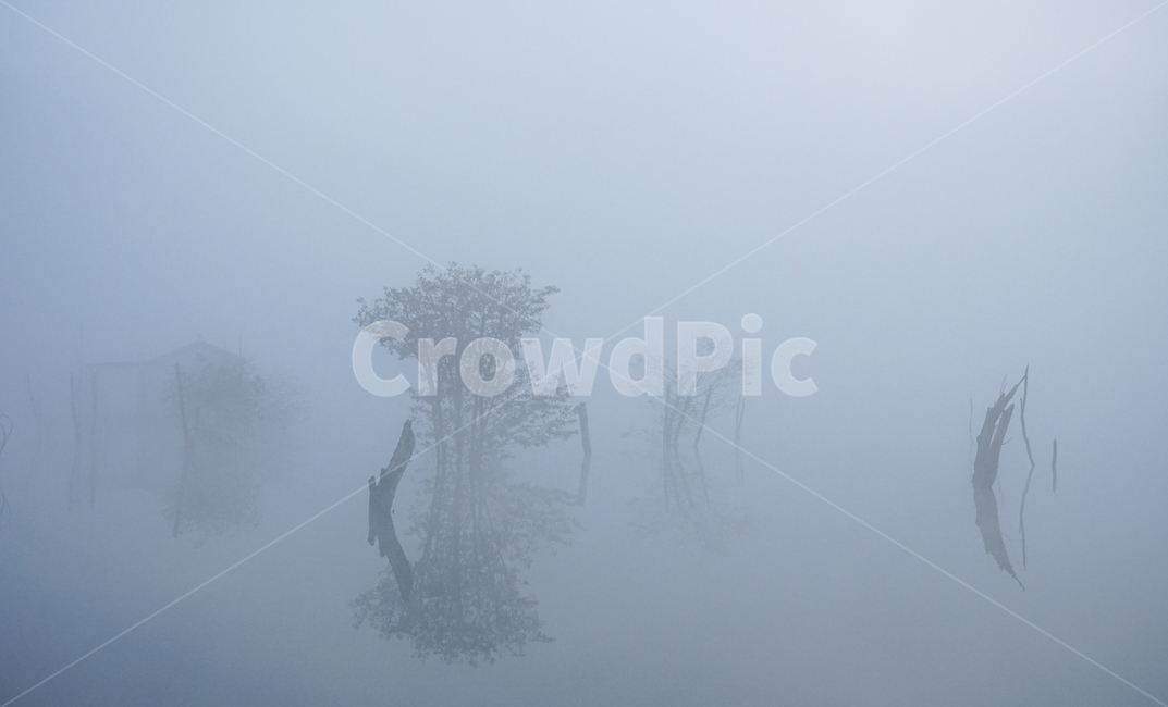 호수,안개,저수지,나무,물안개,식물,자연,풍경,여명,새벽,자연,풍경,nature,landscape,weather,날씨,outdoors,옥외