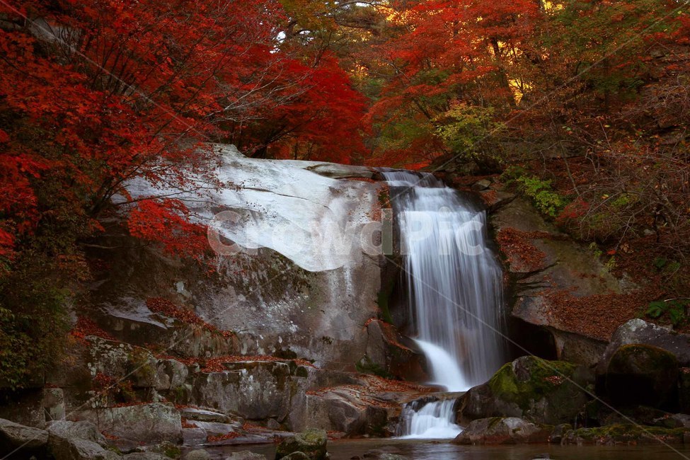 water,물,자연,폭포,단풍,가을,계절,fall,autumn,season,자연,풍경,nature,landscape,river,강,outdoors,옥외
