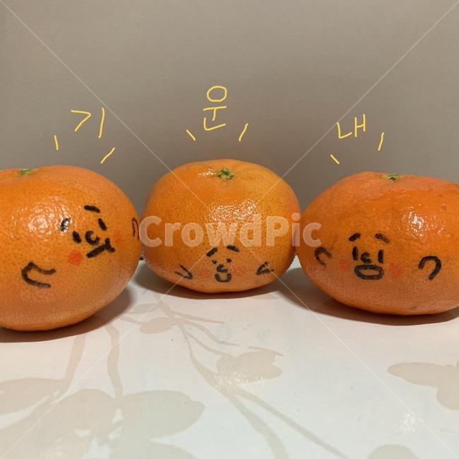 귤,표정,귀여움,맛있는,재밌는,과일,열매,fruit