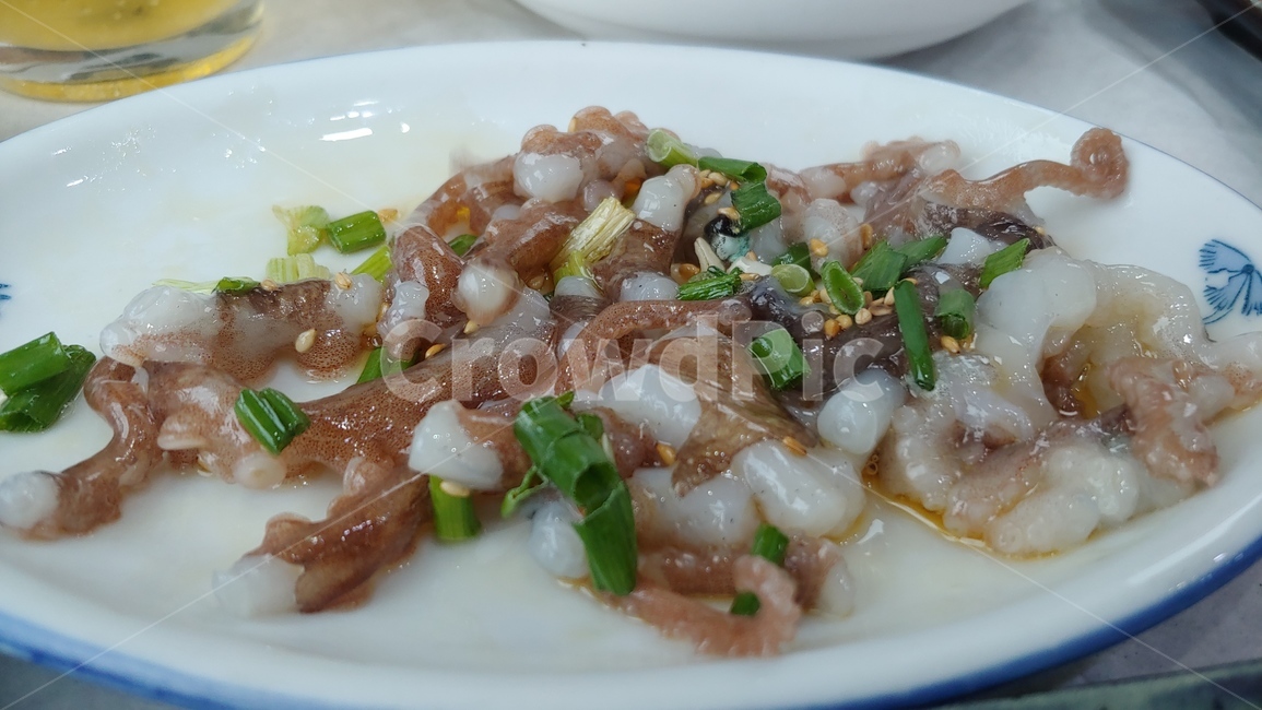 산낙지,해산물,음식,바닷가,낙지요리,food,음식,식재료,요리,food,cook,meal,dishes,food reserves
