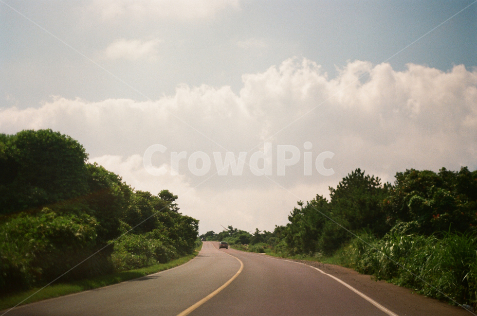 도로,road,길,나무도로,구름도로