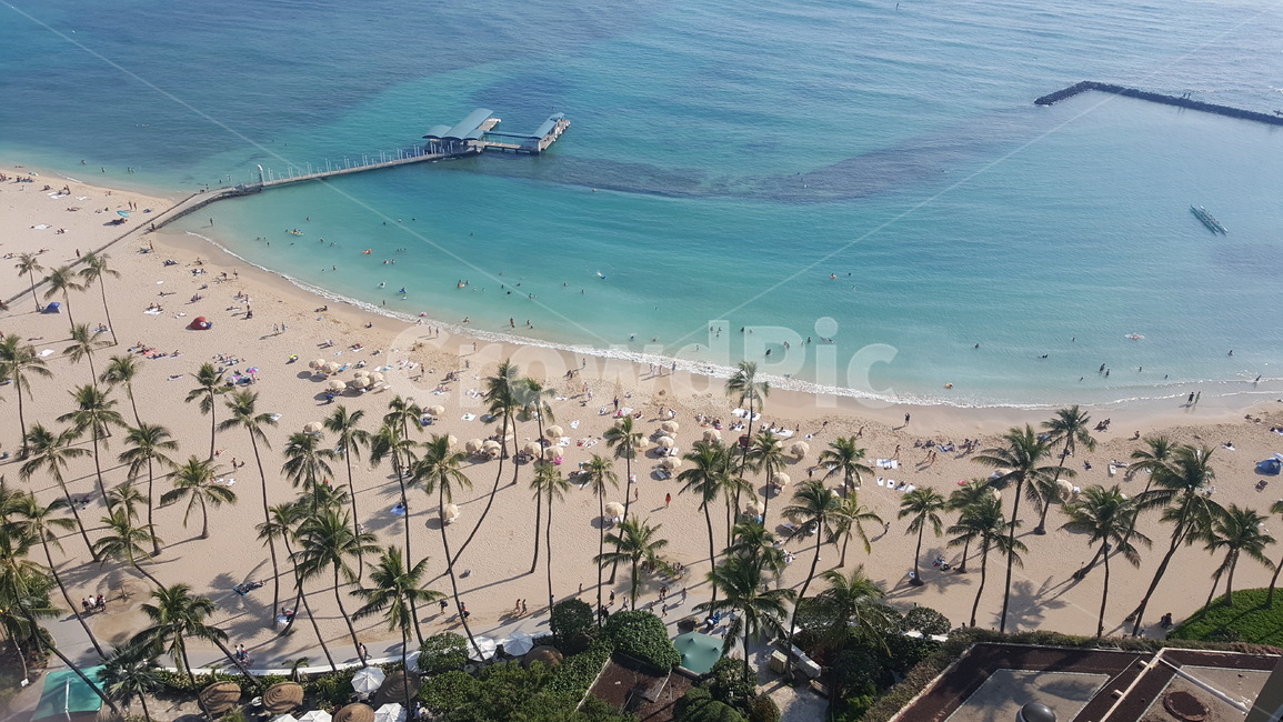 하와이,하와이해변,와이키키해변,beach,해변,자연,풍경,nature,landscape,해변,바다,beach,sea,사람,인물,인간,human,person,사람들,대중,군중,other people,crowd,summer,여름