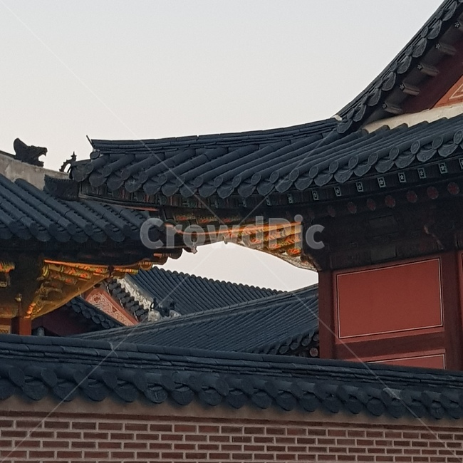 한국,경복궁,gyeongbokgung,야간개장,palace,한국전통,한국문화,korean traditional,korean culture,건축물,건물외관,exterior,building,structure,architecture,construction