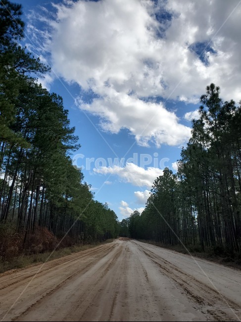흙길,dirt,도로,forest,tree,road,sky,cloud,green,fresh