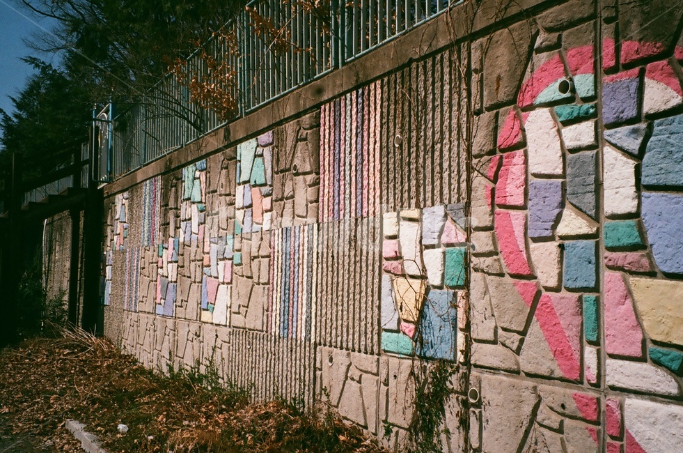 film,analog,필름,감성,벽화,wall