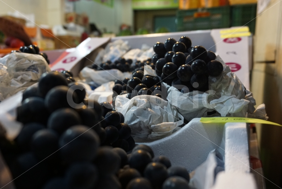 과일,포도,가을,제철과일,과일가게,음식,식재료,요리,food,cook,meal,dishes,food reserves,과일,열매,fruit