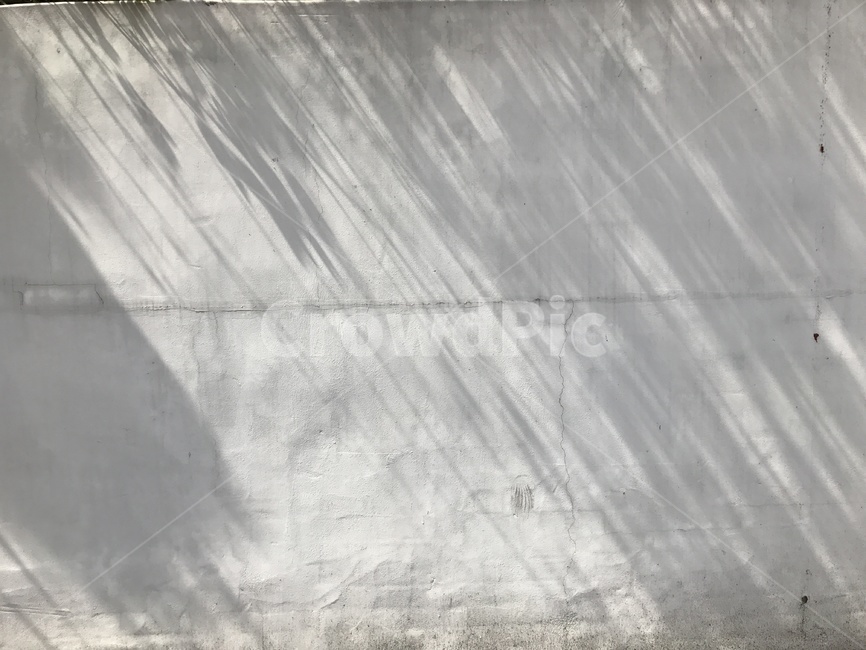 shadowwall,lightandshadow,그림자,벽,하얀벽,콘크리트벽,concrete,패턴,pattern