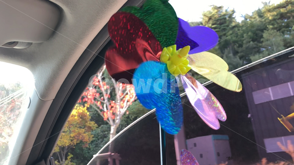 바람개비,드라이브,알록달록,가을,단풍,운전,여행,바람,힐링,car,drive