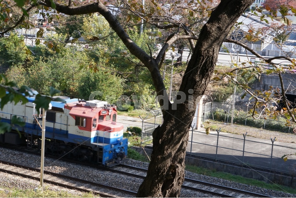 철도,레일,rail,기찻길,기차