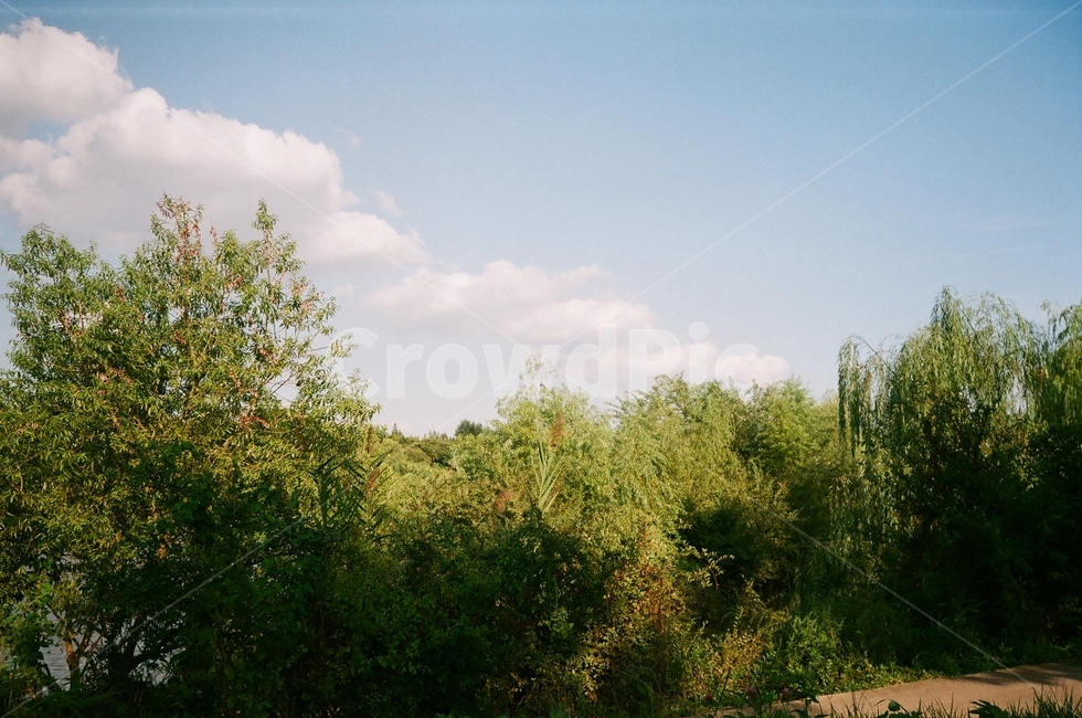 한강,강,서울,당산,한강공원,자연,풍경,nature,landscape,outdoors,옥외