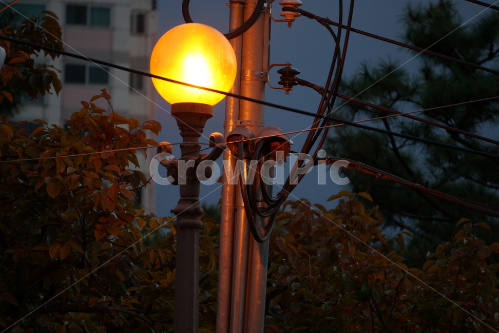 가로등,감성사진,오후,불빛,조명,야경,밤,풍경,nightscape,night,landscape