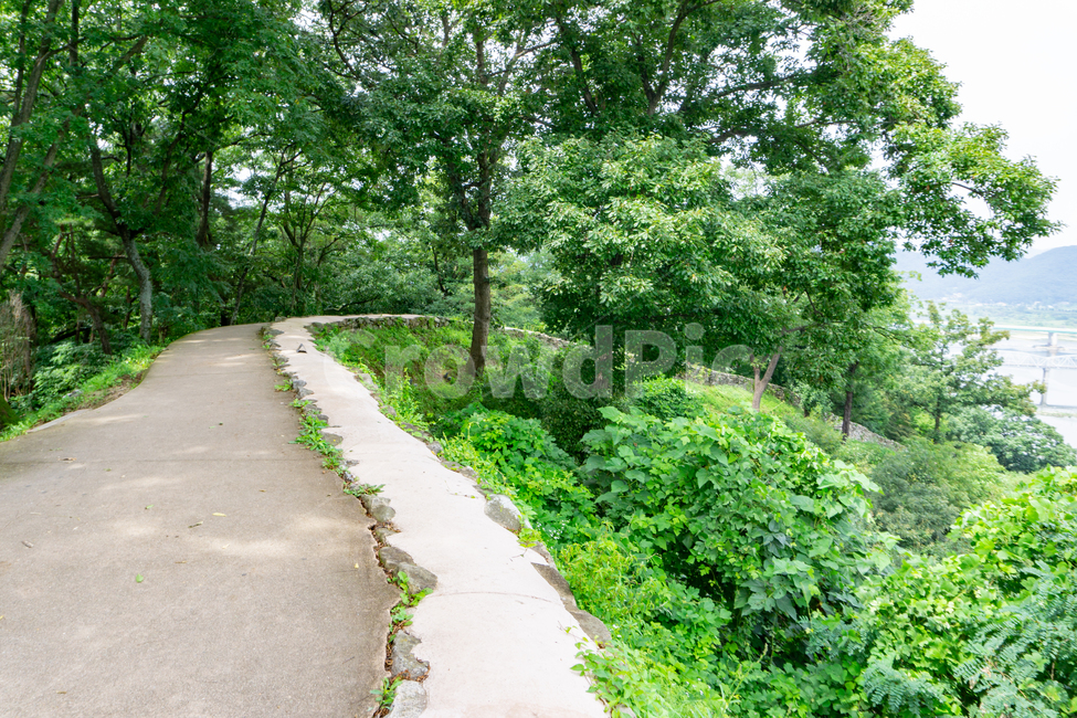 공산성,공주,백제,오솔길,산책길,path,koreatraditionalfortress,공산성길,공산성내부,문화유산,문화재,유적지,백제문화,백제유적,산길,산성,산성길,자연,풍경,nature,landscape,통로
