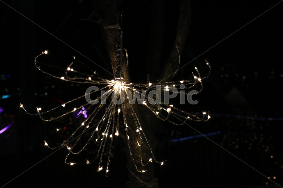 빛,불빛,별빛,감성사진,야간조명,야간빛,감성,야경,밤,풍경,nightscape,night,landscape,nature,자연,outdoors,옥외,invertebrate,무척추 동물,animal,동물,spider,거미,arachnid,거미류