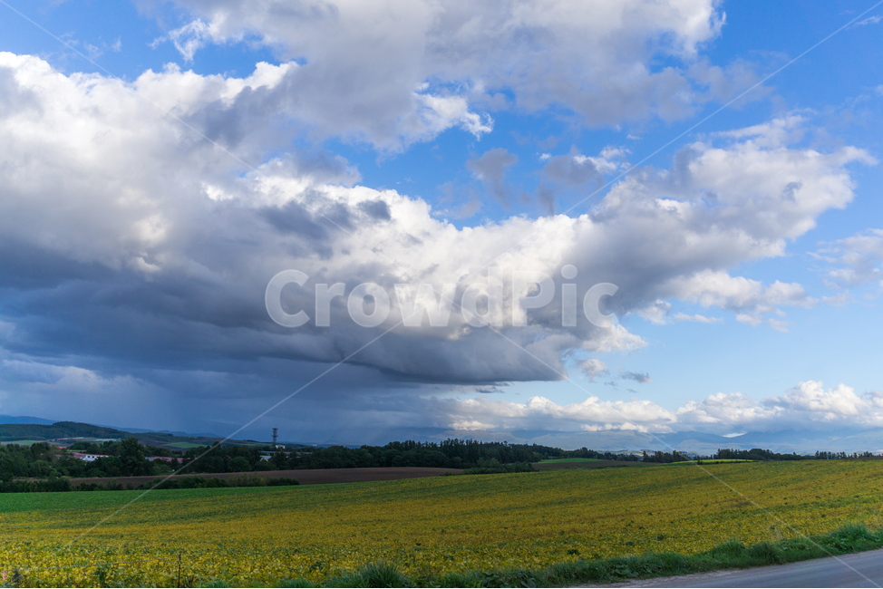 하늘,시골하늘,낮은구름,시골,풍경,농촌,landscape,japanlandscape,시골풍경