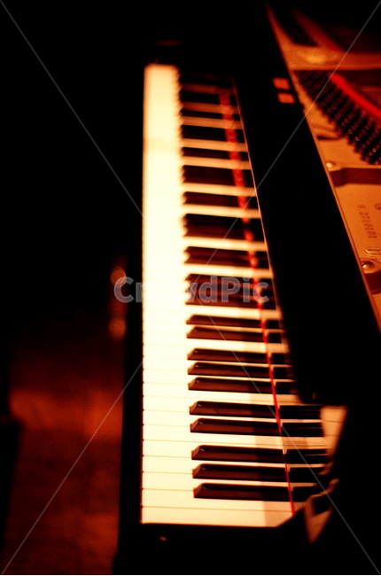 피아노,건반,piano,연주,그랜드피아노,감성사진,필름카메라,악기,악기,음향기기,musical instrument,musical equipment