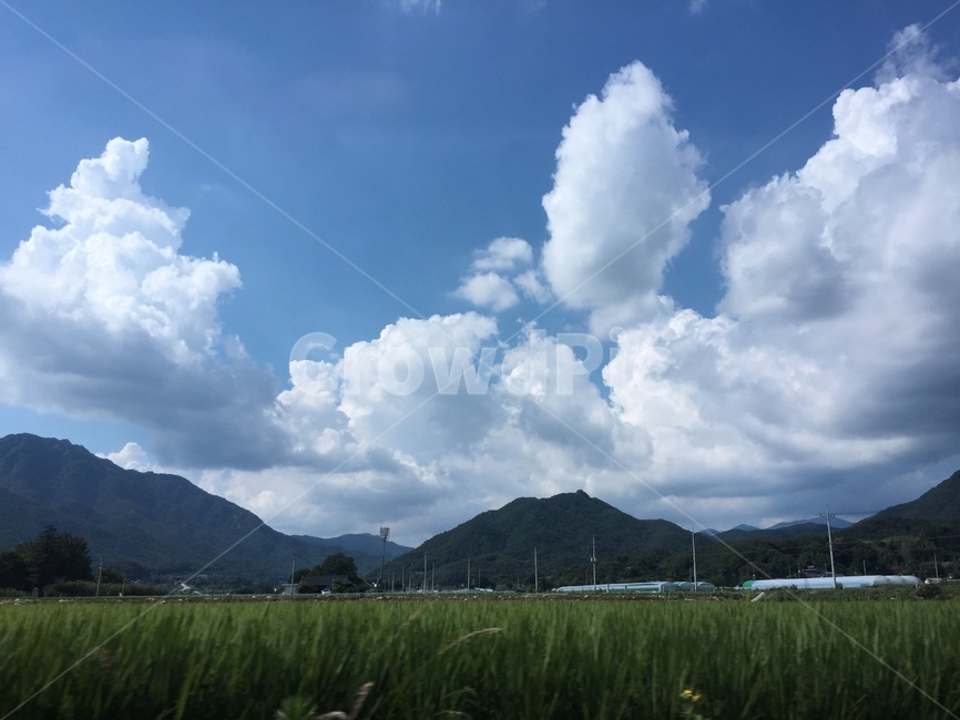 nature,weather,날씨,sky,하늘,구름,cloud,자연,자연,풍경,nature,landscape,outdoors,옥외,cumulus,적운,grassland,목초지,field,들