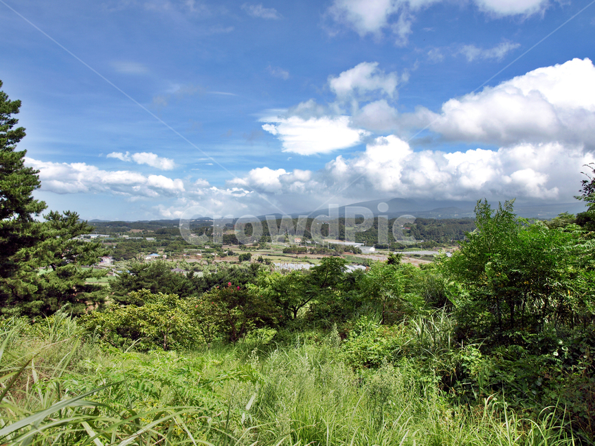 올레15코스,올레,제주,고내봉,푸른하늘,흰구름,자연,마을,시골,마을,풍경,landscape,country,rural,town