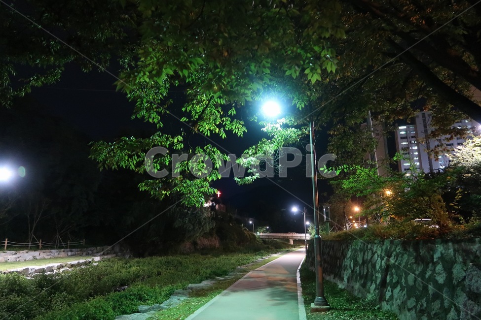 밤산책,산책로,밤풍경,풍경,나무,야경,밤,풍경,nightscape,night,landscape,flare,플레어,light,빛