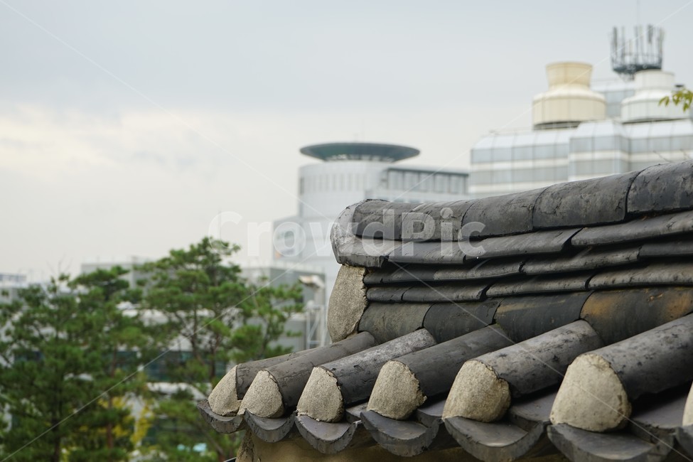 담장,고택,기와,전통,건축물,흑기와,신구,현대,고전,기와집,지붕,한옥,패턴,옥상,배경,전통적인,한국의construction,한국전통,한국문화,koreantraditional,koreanculture,건물외관,exterior,building,structure,architecture,한국전통,한국문화,korean traditional,korean culture,건축물,건물외관,exterior,building,structure,architecture,construction
