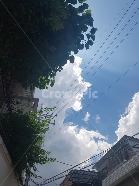 하늘,풍경,여름,여름하늘,파란하늘,푸른하늘,뭉개구름,구름,맑은날,sky,cloud