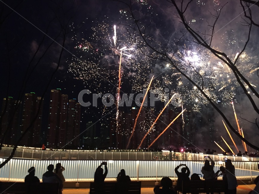 불꽃놀이,불꽃축제,송도,인천,불빛,그림자,새벽,밤,축제,피날레,폭죽,폭죽놀이,감성사진,야경,밤,풍경,nightscape,night,landscape,사람들,대중,군중,other people,crowd,축제,행사,festival,carnival,event,nature,자연,outdoors,옥외