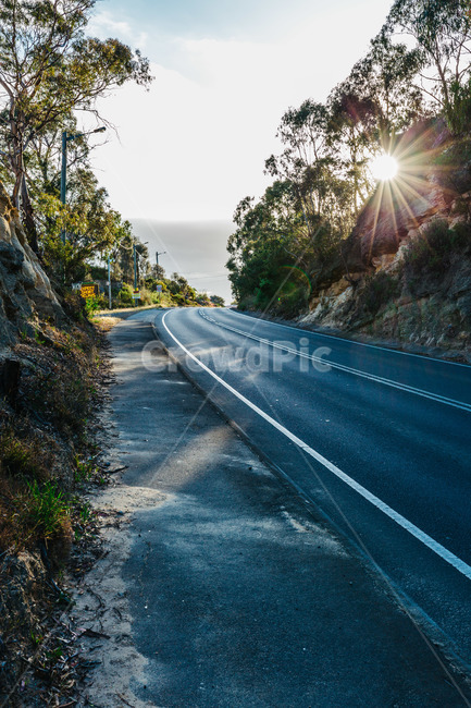 호주,australia,타즈매니아,tasmania,길,도로,나무,갈림길,하늘,그림자,태양,햇빛,그늘,sky,tree,언덕,hill,road,차선,차길,차도,커브,산,산길,시골,아스팔트,바닥,자연,풍경,nature,landscape,asphalt