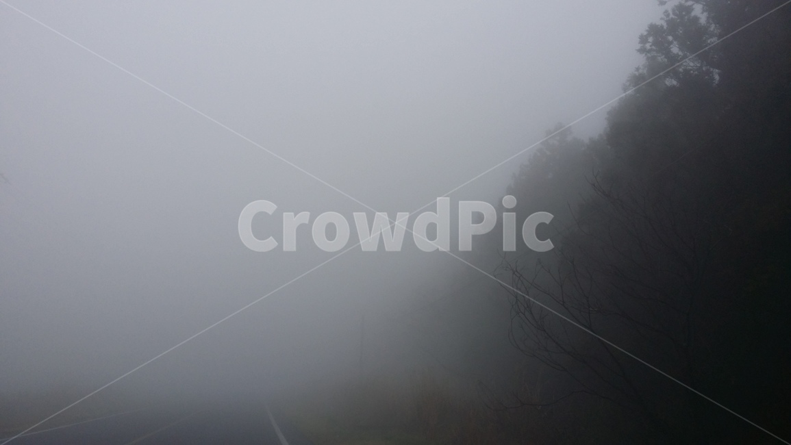 안개,fog,foggy,제주도,jejuisland